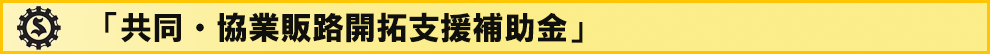 令和２年度小規模事業者持続的発展支援事業 共同・協業販路開拓支援補助金