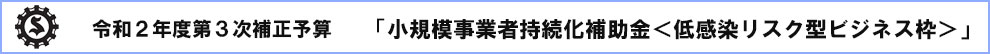 令和２年度第３次補正予算  小規模事業者持続化補助金「低感染リスク型ビジネス枠型」